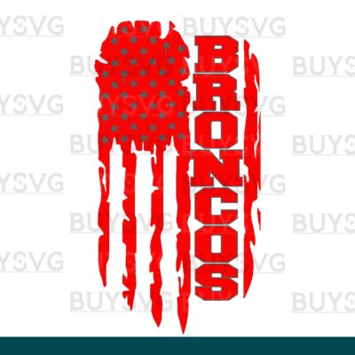 Broncos SVG PNG Digital file Download FLAG 4